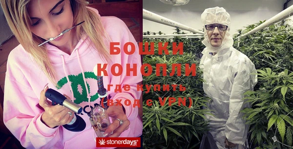 Альфа ПВП Аркадак