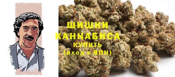 Альфа ПВП Аркадак