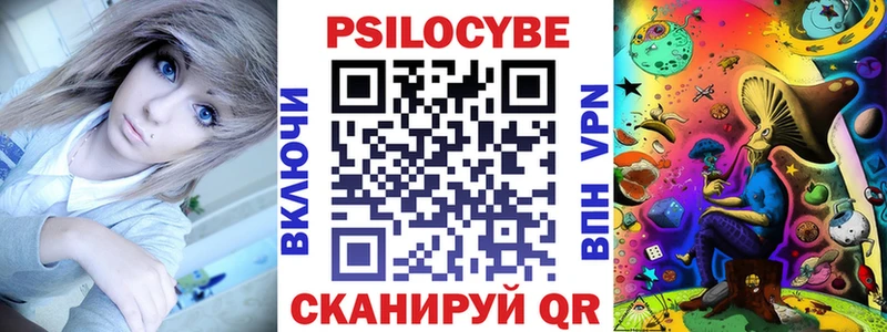 Псилоцибиновые грибы Cubensis  блэк спрут маркетплейс  Шацк 